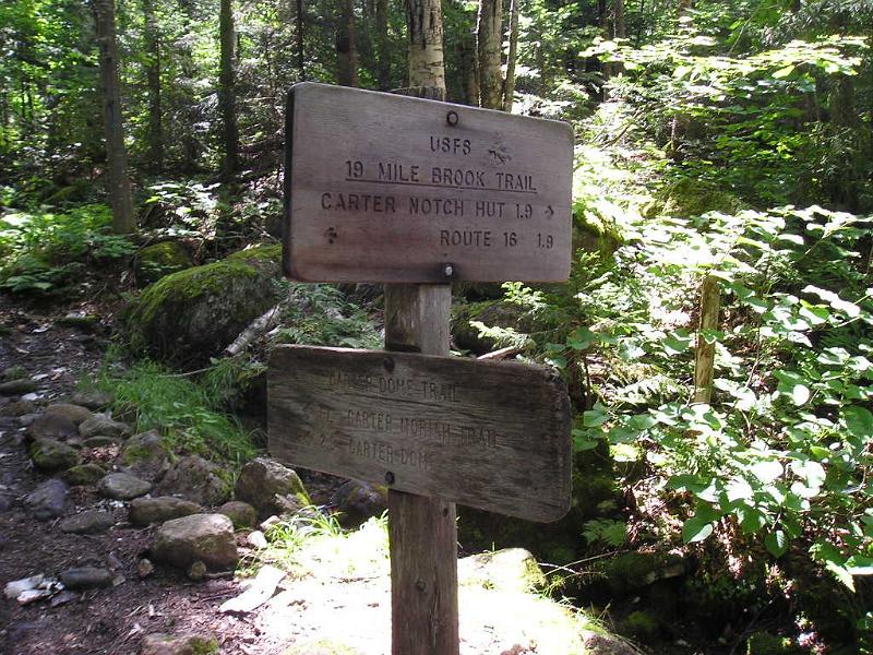 CarterDome (2).JPG - It took us only 1 hour to make it to the first trail intersection. From here we followed the Carter Trail to Zeta Pass.